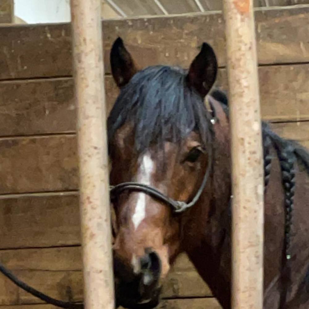 Meet your Posher, Jaclyn